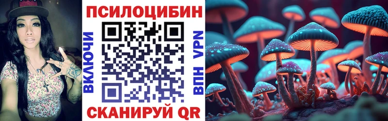 купить наркотик  Юхнов  Галлюциногенные грибы Psilocybe 
